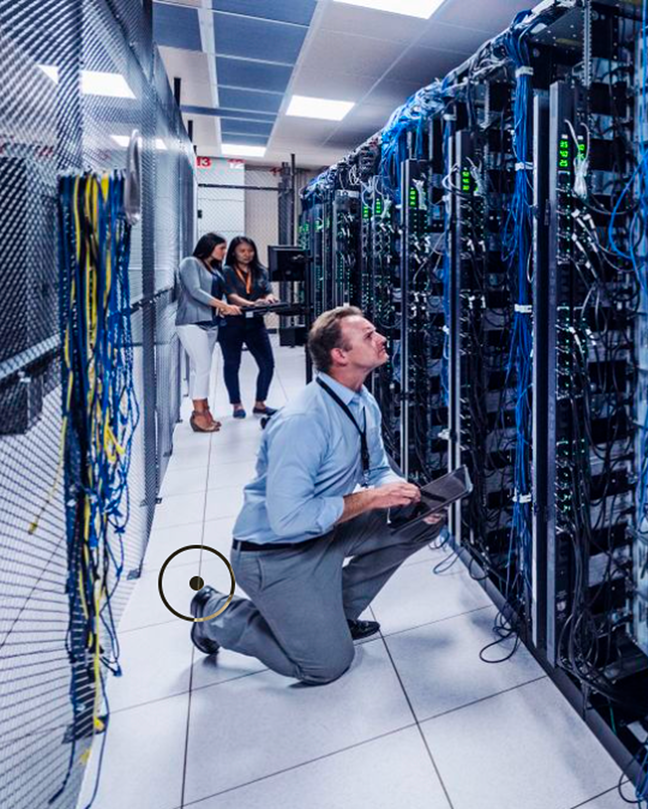 IT training and certification platform interface