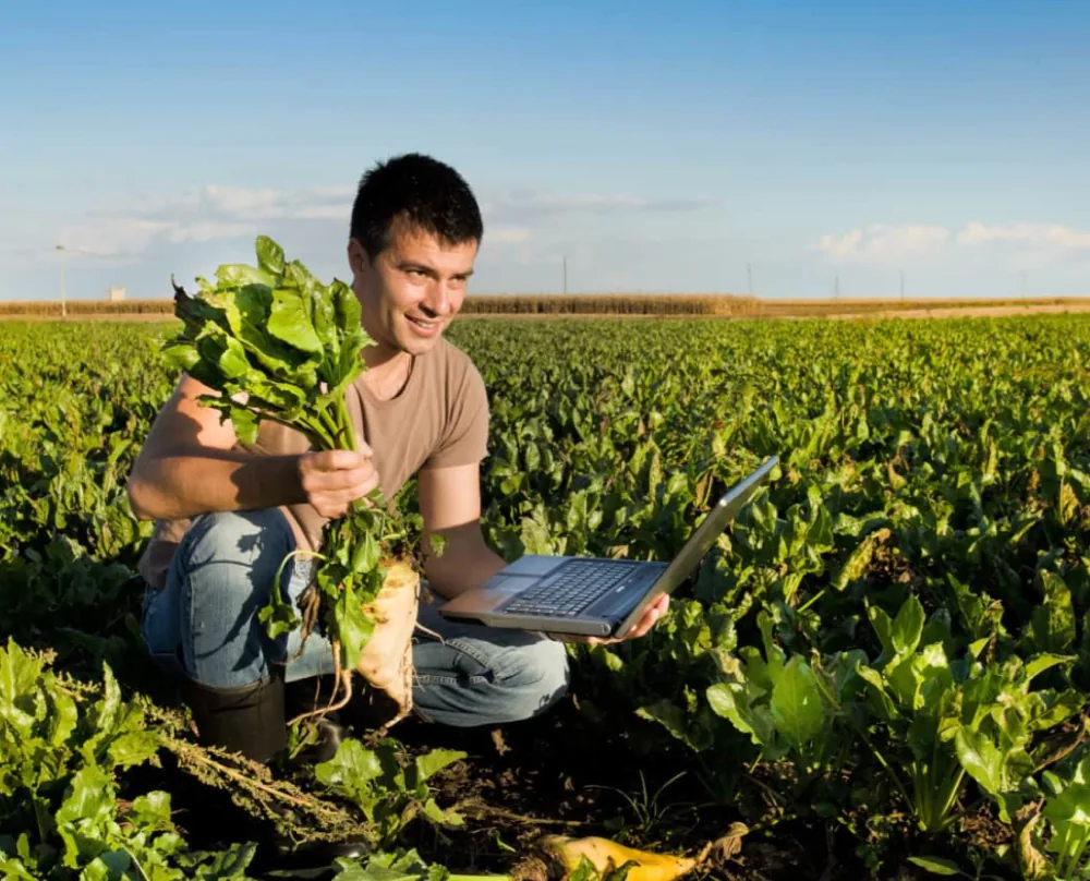 A grower holding freshly harvested produce in a field.