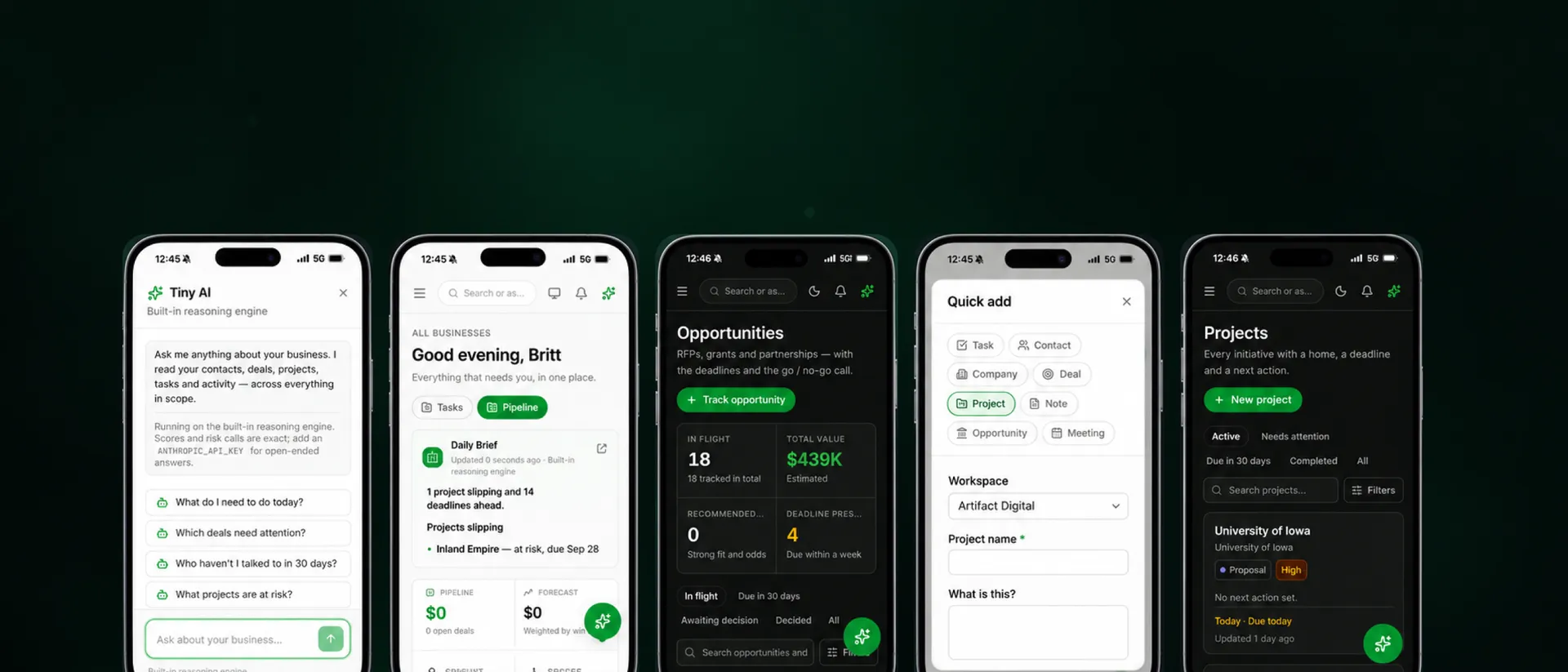 Five phone screens from Tiny CRM: Tiny AI, the daily brief, opportunities, quick add and projects.